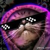 mr.gryddy.2009