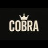cobra_peek