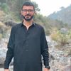 talhaabbasi327