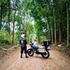 romar_sylo