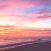 _d521209