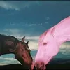 superznooby