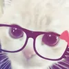 heartsforcats_1234556