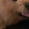 saaaaahiili