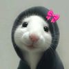 thebabygall
