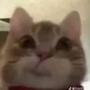 nhummmmnhummm
