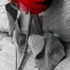 haval.m.mahmood