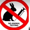 .animalslivesmatter6