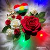 ali._kral