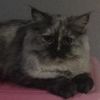 lola812020