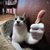 pakoo_27