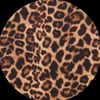 icnvi8