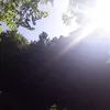 attilavarga228