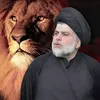 user9wjcrlfczl