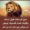 sidha.alferjani7