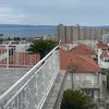 joki1848293