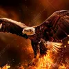 silvellooficial1