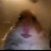 myidolfollowsme._