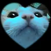 dy4ymmx24l6t
