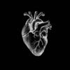 balckheart061