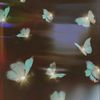 divv_roma_59