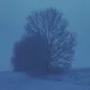 insomnia_in