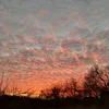 vitaliy_3184