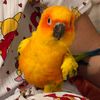 minaylop07