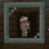 indies_zerofriends
