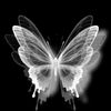 user130903130902