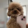 deochicken.1234