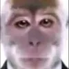 mavpa0_0