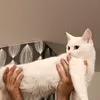 sssss__sssss__