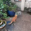 xuanthanh_3101