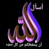 user242543015