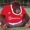 dilwyn1