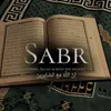 .sabr0_