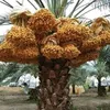 user5wykwt2gpe