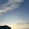 sean_162