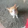 naneilwin46