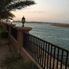 ahmedezz393981