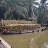 thanhnhonlu