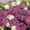 maarri__888__