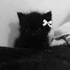 tinita001
