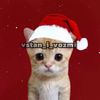 vstan_i_vozmi