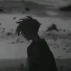 1d11_