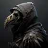 corvo_dmc