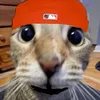 vinecy.19y