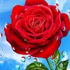 m_nadeem14