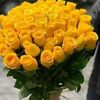 user8503281135464